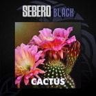 カクタス（Cactus） – SEBERO BLACK（セベロブラック） シーシャフレーバー 40g