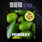 フェイジョア（Feijoa） – SEBERO BLACK（セベロブラック） シーシャフレーバー 40g