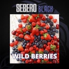 トップ（TOP） – SEBERO BLACK（セベロブラック） シーシャフレーバー 40g